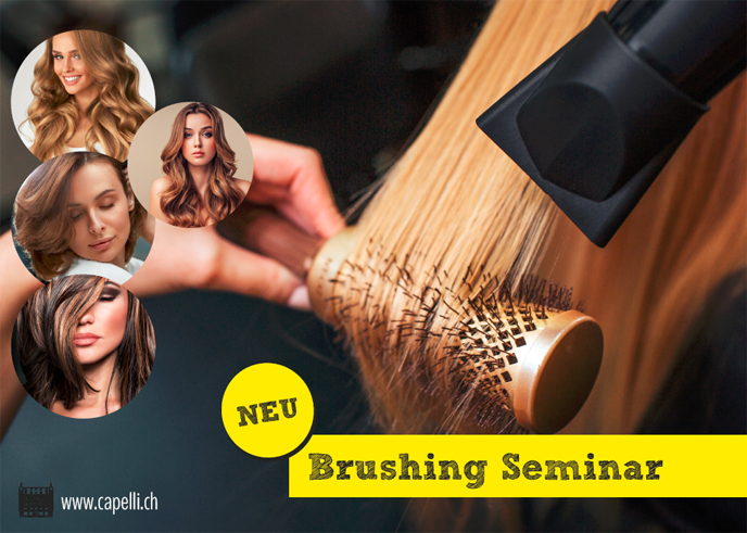 Brushing-Seminar